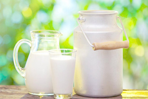 进口乳制品报关