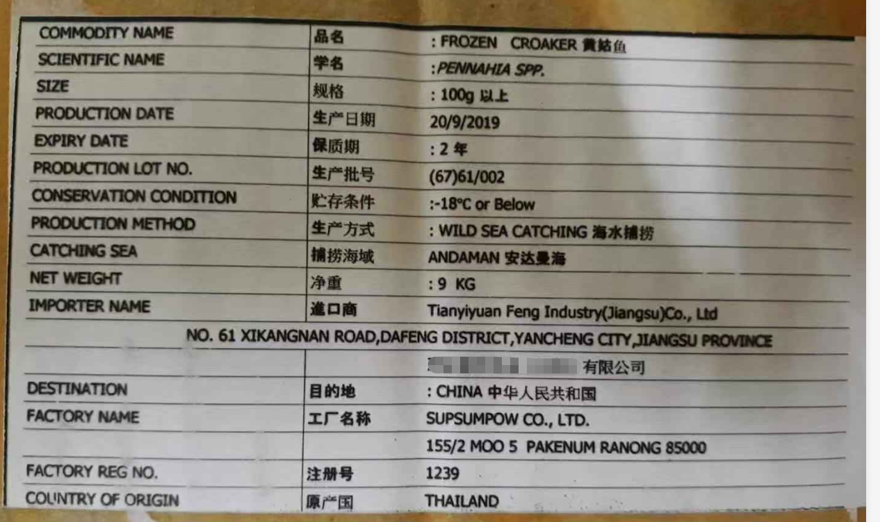 进口报关代理公司